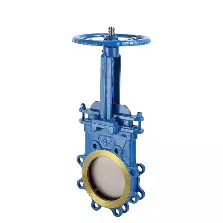 DN100 Double Flanged Cast Iron Gate Valve