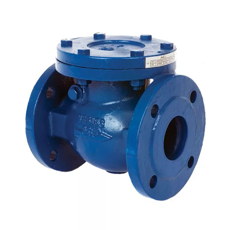 WIVO VALVES Manual Lift Check Valve – Cast Iron, DN200